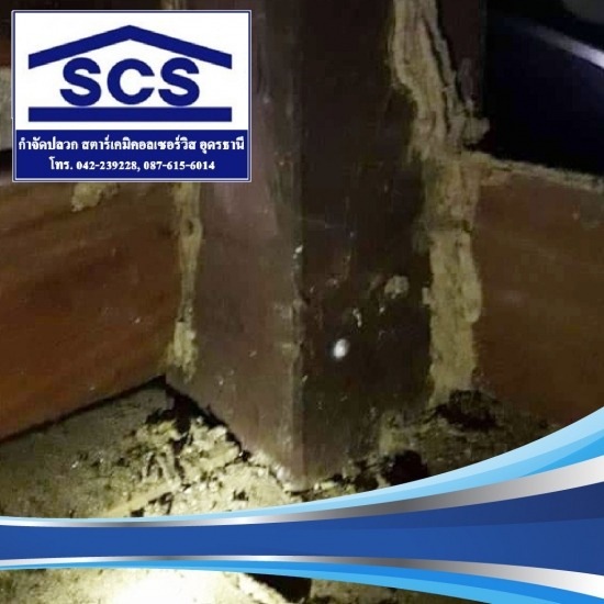 กำจัดปลวก อุดรธานี กำจัดปลวก 